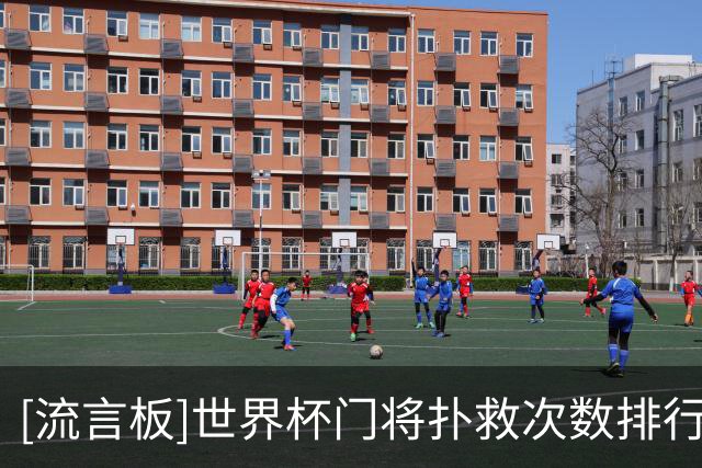 [流言板]世界杯门将扑救次数排行：巴拉圭门将吉尔领衔，大马丁在列